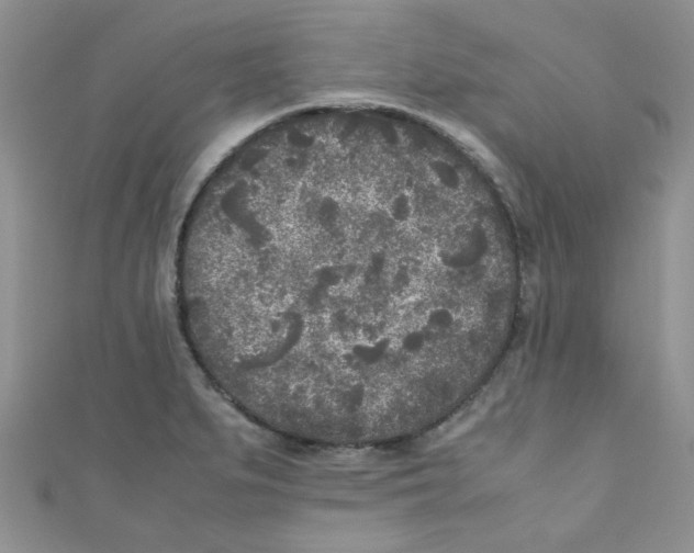 X0000111011279200907171827