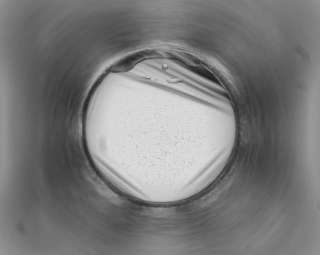 X0000111011280200907171827
