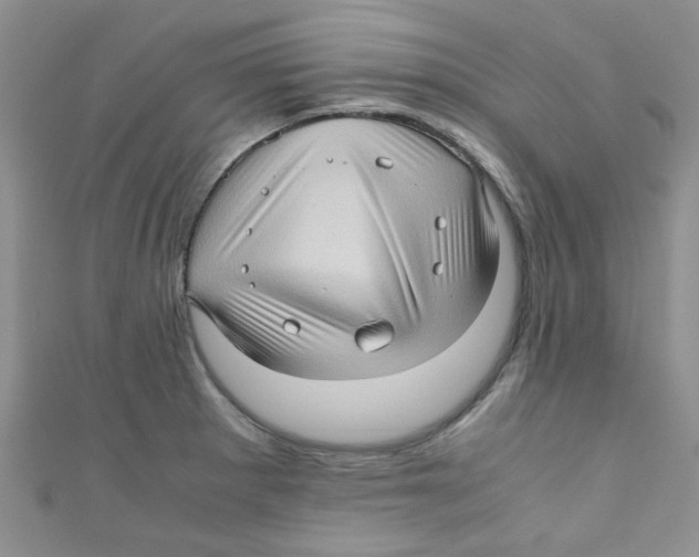 X0000111011281200907171827
