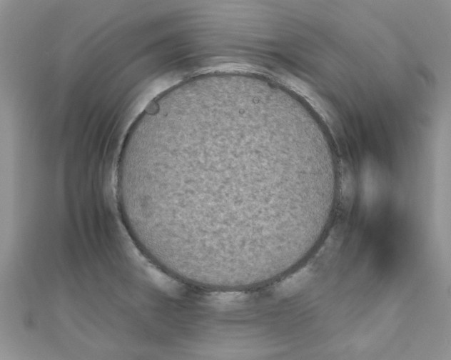 X0000111011282200907171827