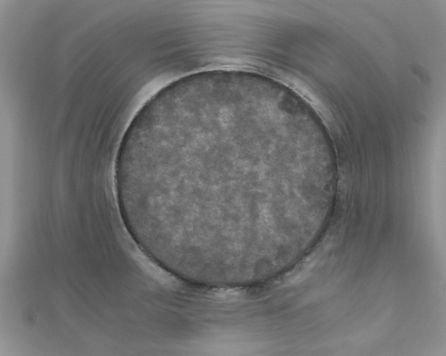 X0000111011283200907171827