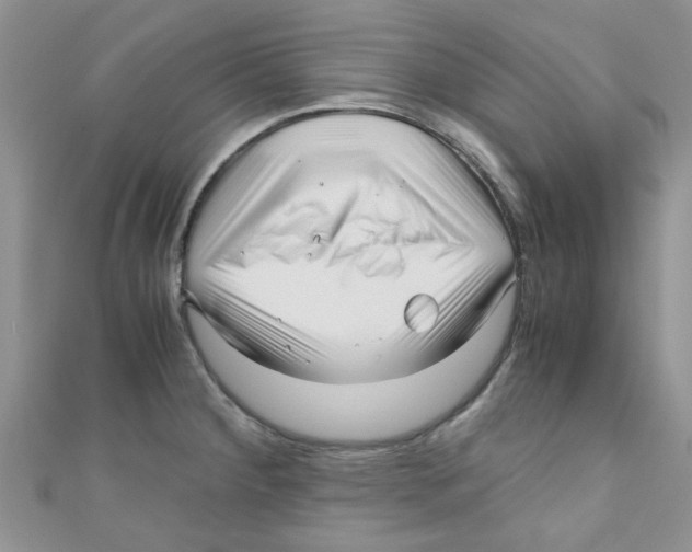 X0000111011284200907171827