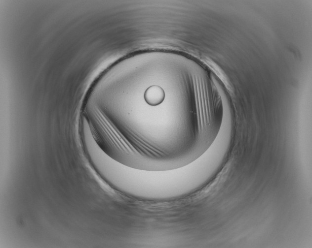 X0000111011285200907171827
