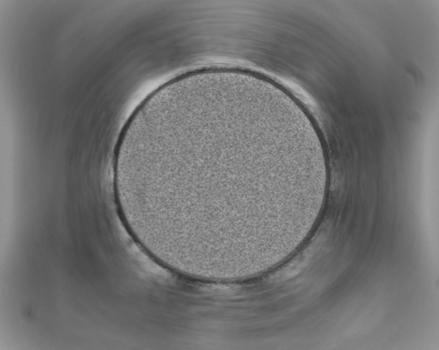 X0000111011287200907171827