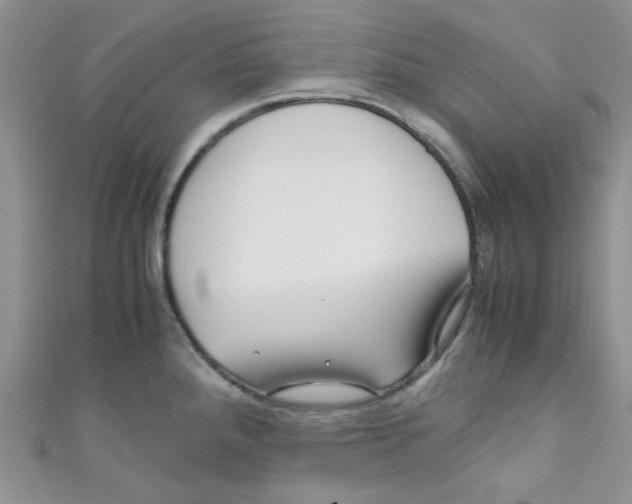 X0000111011288200907171826
