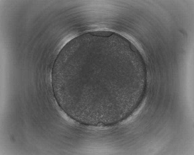 X0000111011289200907171826