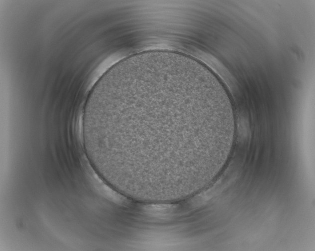 X0000111011290200907171826