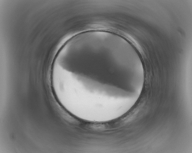 X0000111011291200907171826