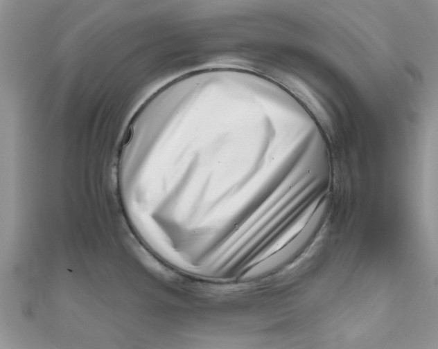 X0000111011292200907171826