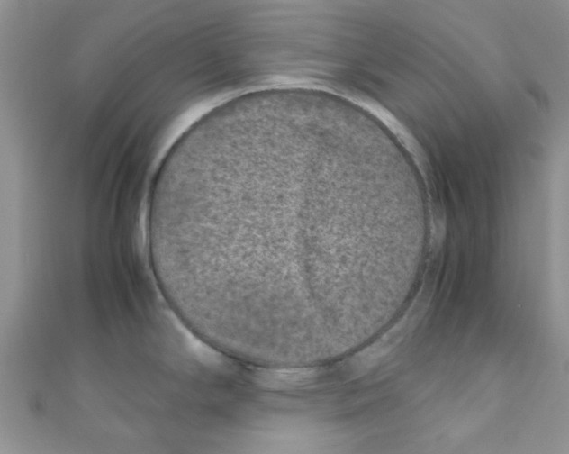 X0000111011294200907171826