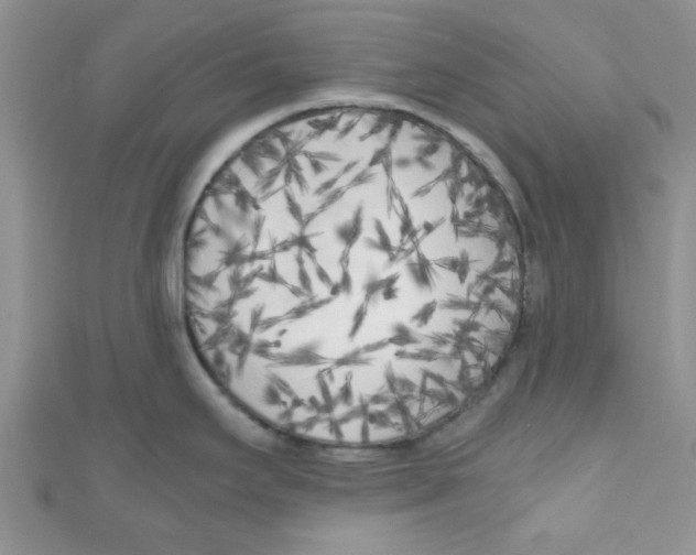 X0000111011295200907171826