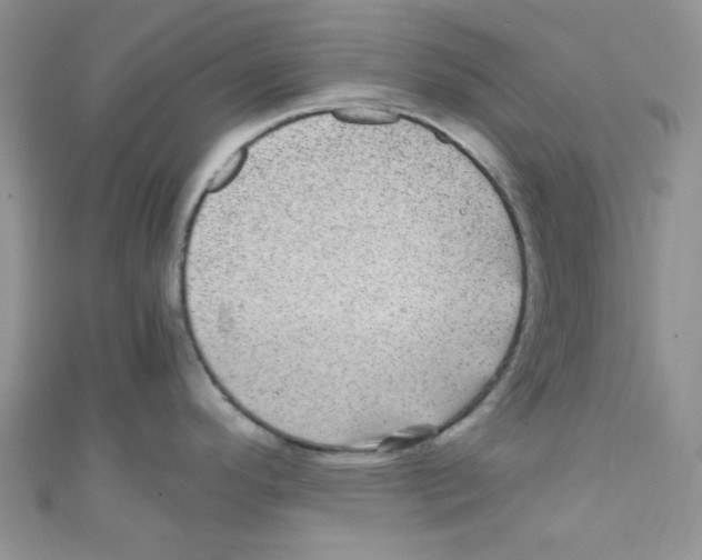 X0000111011296200907171826