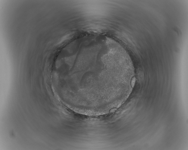 X0000111011297200907171826