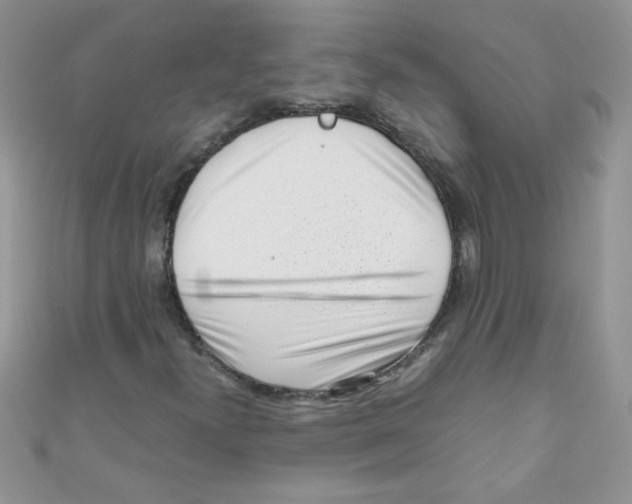 X0000111011300200907171826