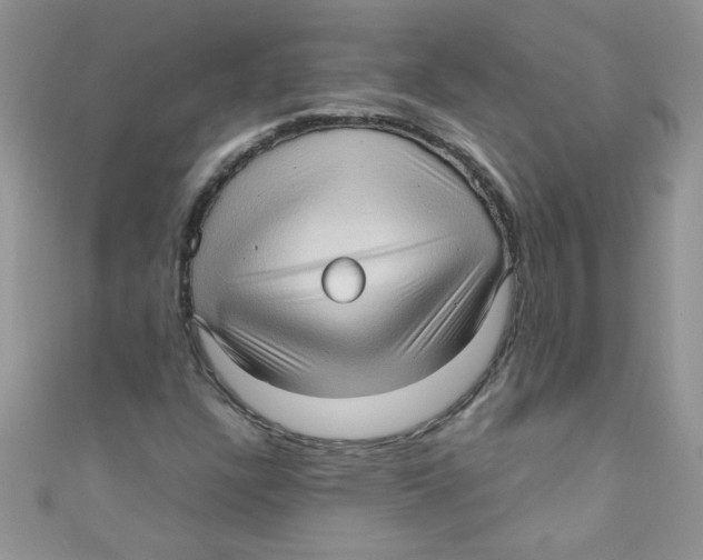 X0000111011304200907171826