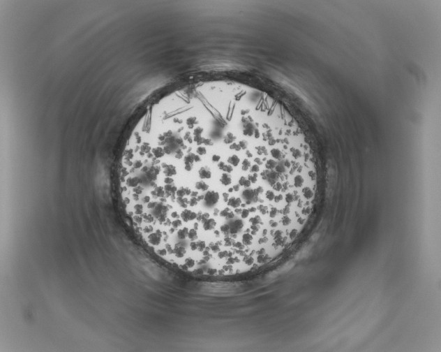 X0000111011305200907171826