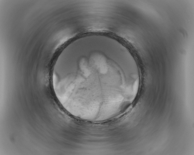 X0000111011306200907171826