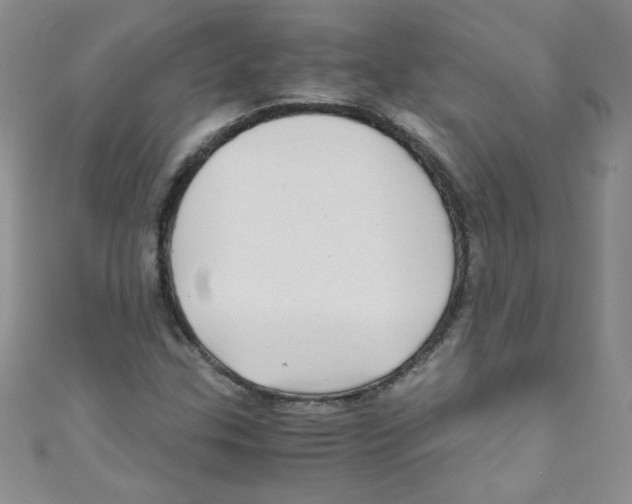 X0000111011307200907171826