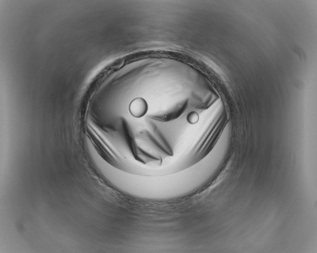 X0000111011310200907171826