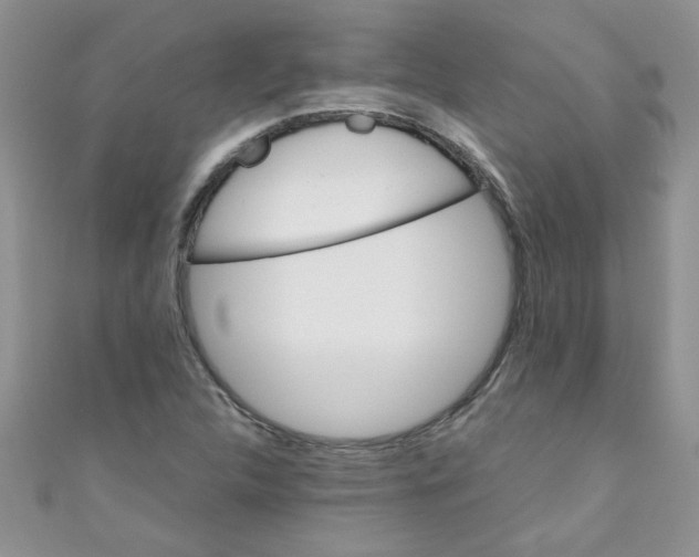 X0000111011312200907171826