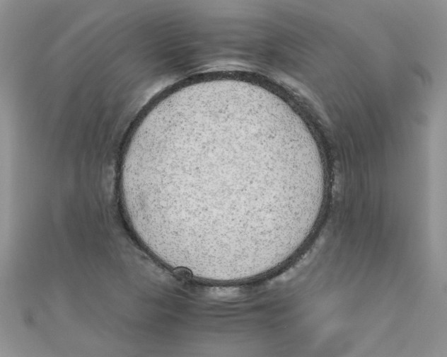X0000111011313200907171826