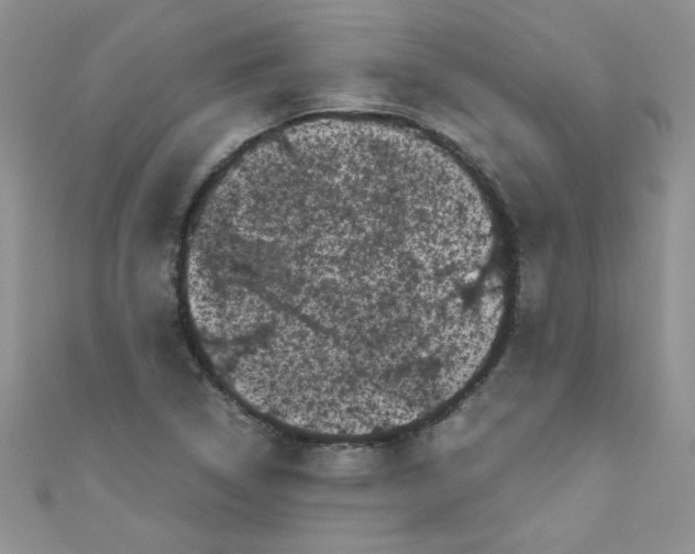 X0000111011314200907171826