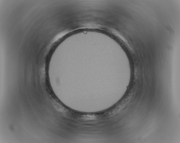 X0000111011315200907171826