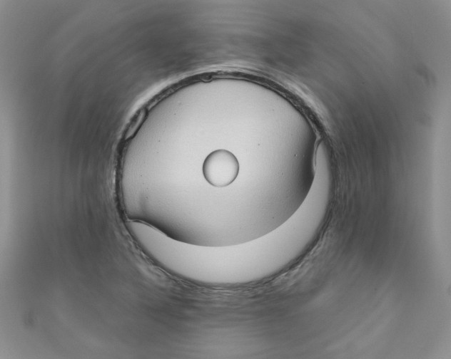 X0000111011316200907171826
