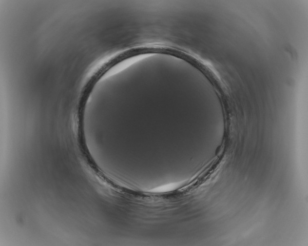 X0000111011319200907171826