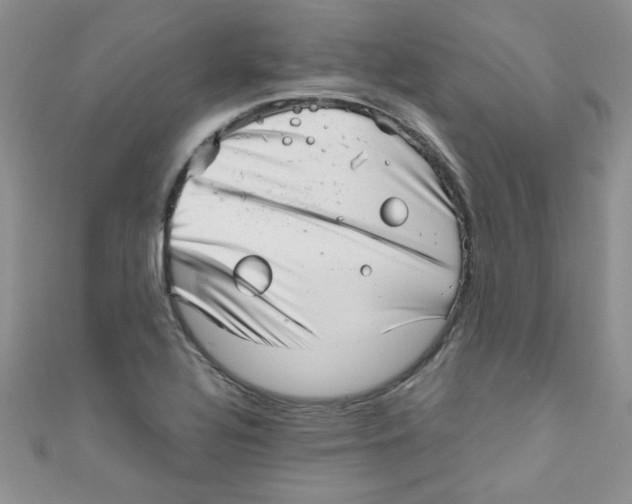X0000111011320200907171826