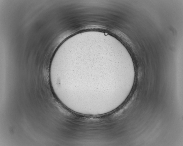 X0000111011321200907171826