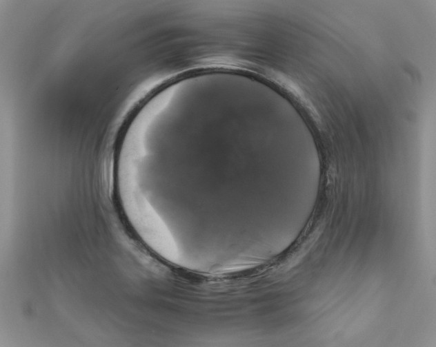 X0000111011323200907171826