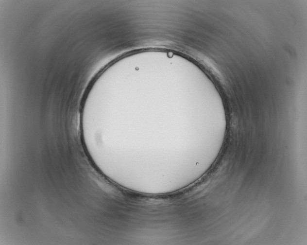 X0000111011324200907171826