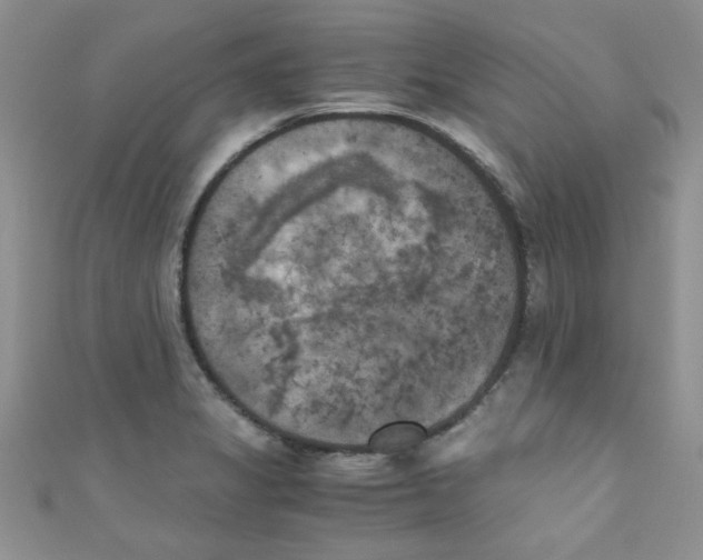 X0000111011325200907171826