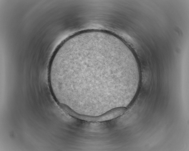X0000111011326200907171826