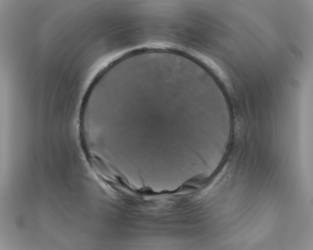 X0000111011327200907171826