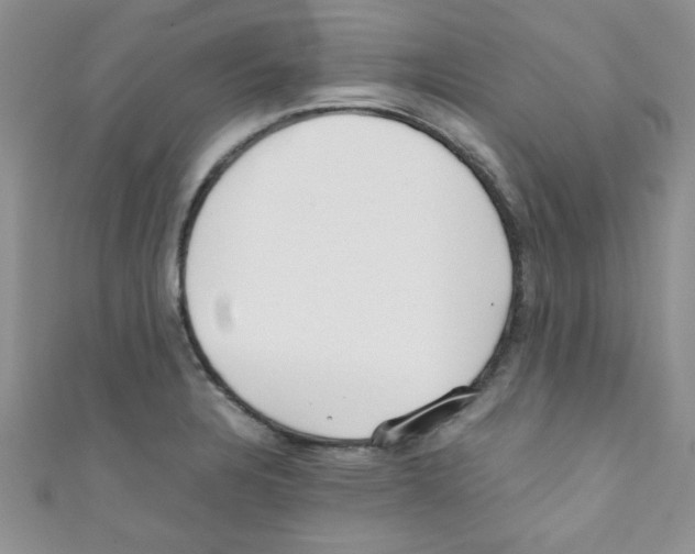 X0000111011328200907171826