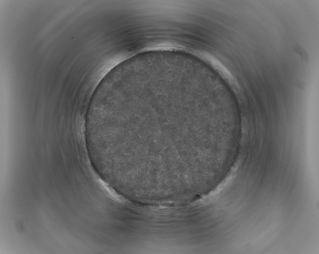 X0000111011329200907171826