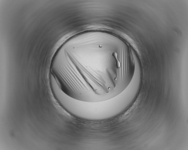 X0000111011330200907171826
