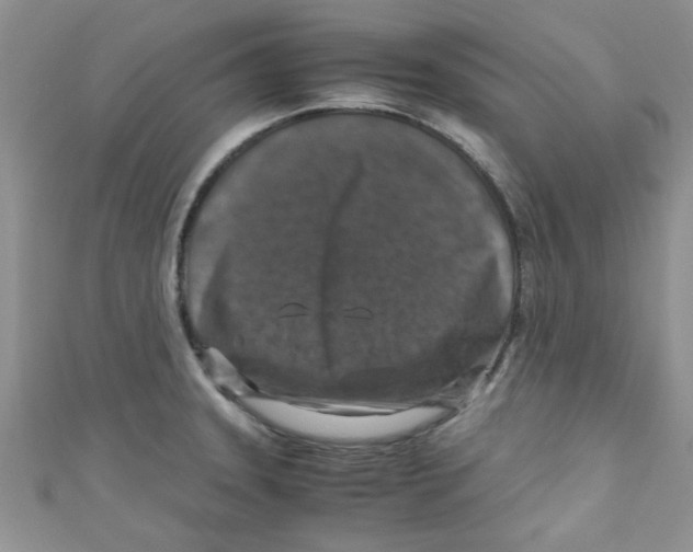 X0000111011331200907171826