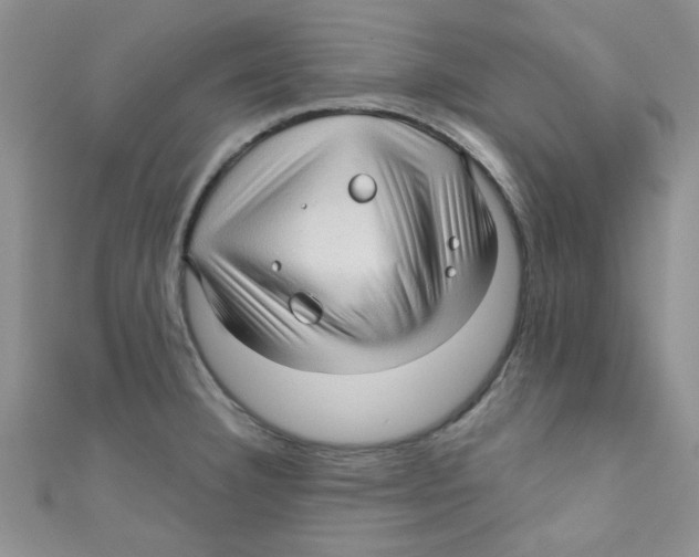 X0000111011332200907171826