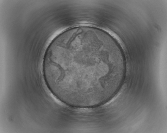 X0000111011333200907171826