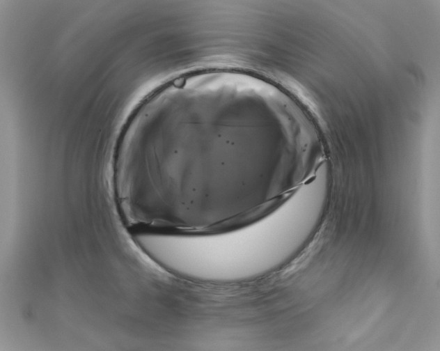 X0000111011334200907171826