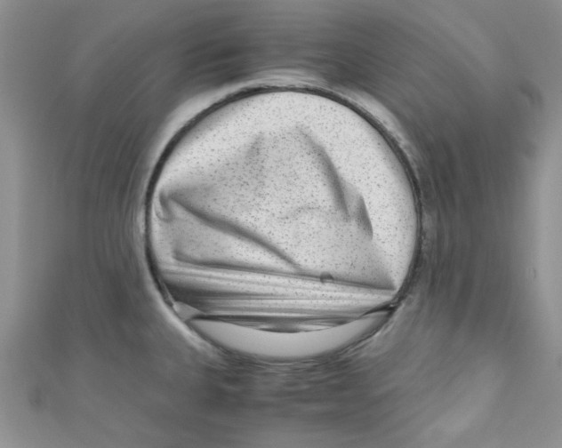 X0000111011335200907171826