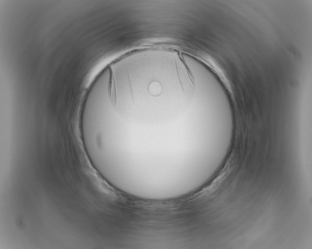 X0000111011336200907171826