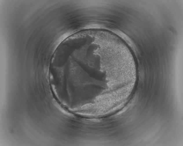 X0000111011337200907171826