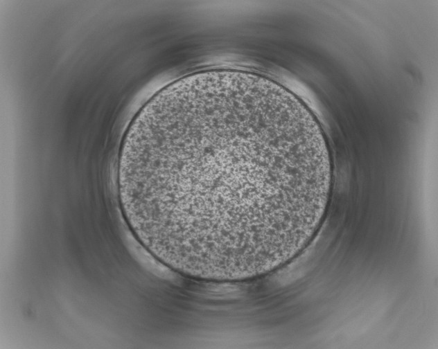 X0000111011338200907171826