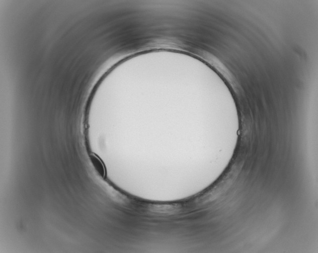 X0000111011339200907171826