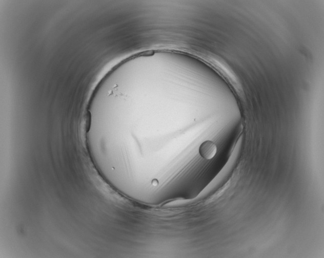 X0000111011340200907171826