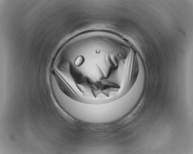 X0000111011342200907171826